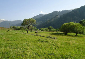 Kazakh rural terrain
